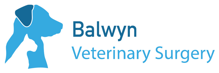 THE BALWYN VETERINARY SURGERY