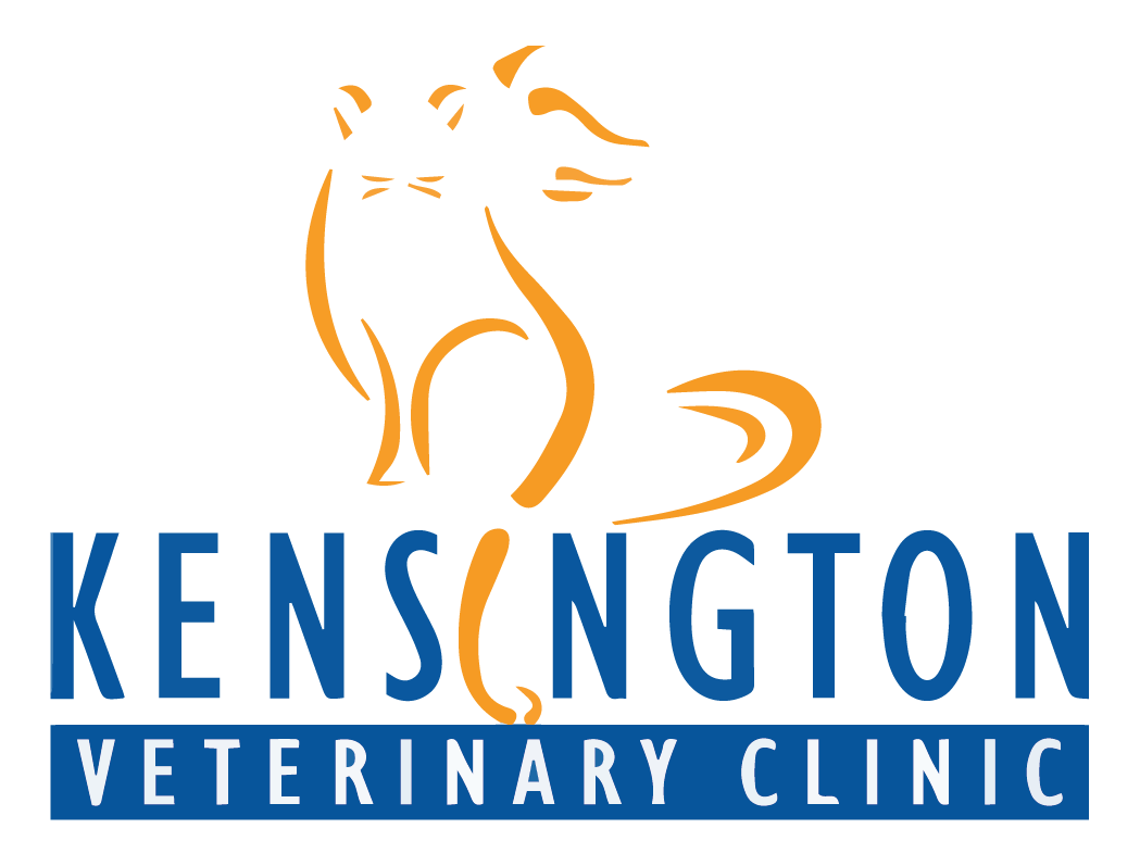 Kensington logo