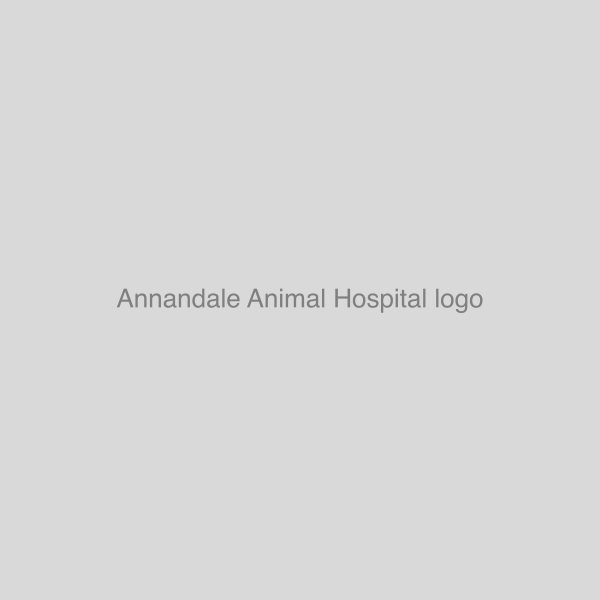 Annandale Animal Hospital logo
