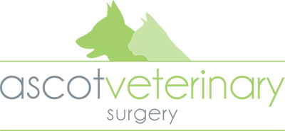 Ascot Veterinary Surgery logo