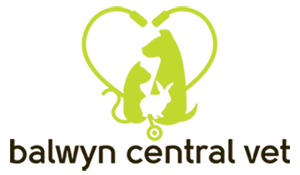 Balwyn Central Vet logo