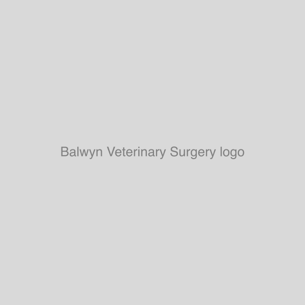 Balwyn Veterinary Surgery logo