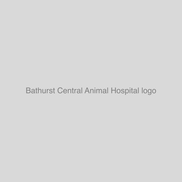 Bathurst Central Animal Hospital logo