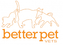 Better Pet Vets logo