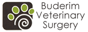 Buderim Veterinary Surgery logo