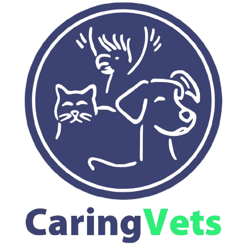 caring-vets-logo-no-bg