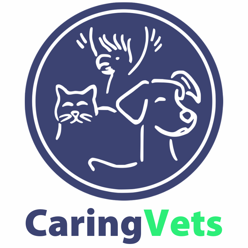 Caring Vets logo