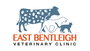 East Bentleigh Vet Clinic logo