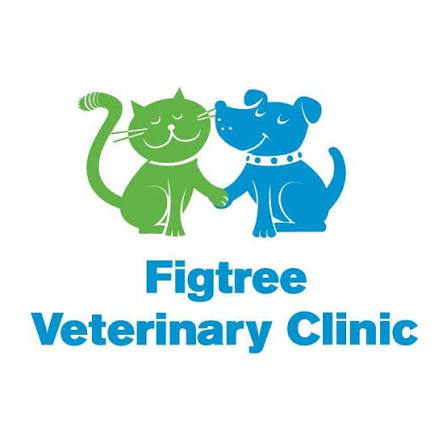 fig-tree
