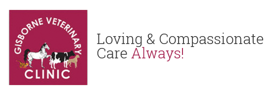 Gisborne Veterinary Clinic logo