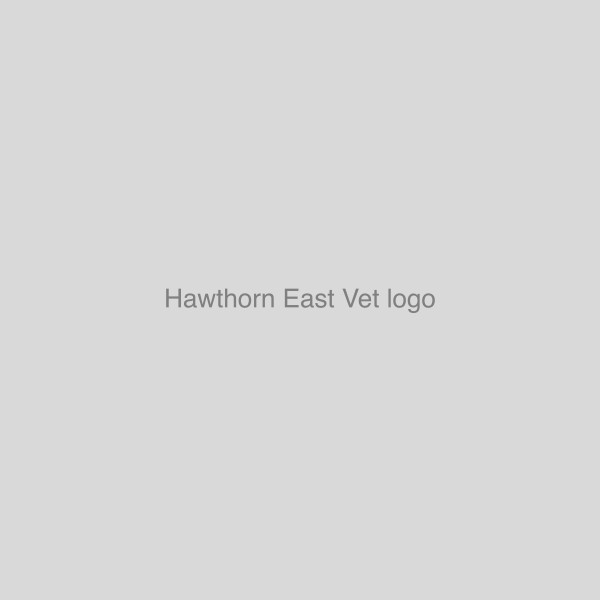 Hawthorn East Vet logo