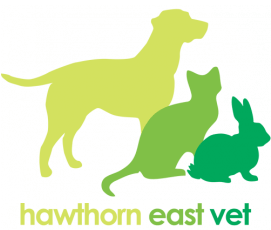 Hawthorn East Vet logo