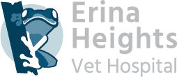Erina Heights Vet Hospital logo
