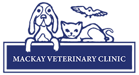 Mackay Veterinary Clinic logo