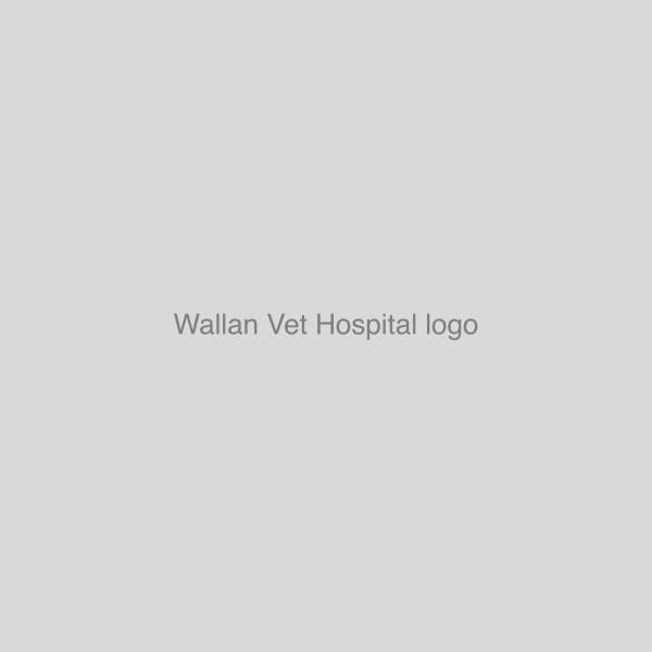 Wallan Vet Hospital logo