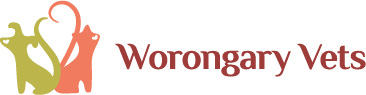 Worongary Vets logo