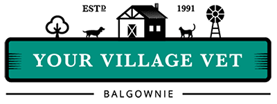 Your Village Vet Balgownie logo